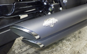 HARLEY XL1200NS 2021