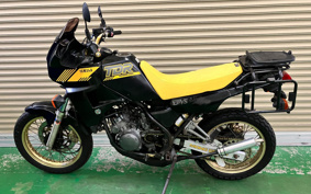YAMAHA TDR250 2YK