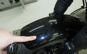 OTHER +ENFIELD HUNTER350 2025