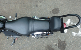 HARLEY XL1200R 2006 CLP