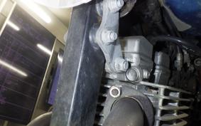 YAMAHA TT250R RAID 4GY