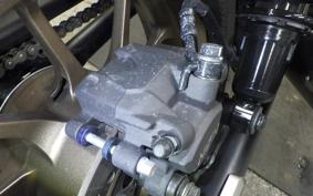 HONDA REBEL 250  S E-clutch 2024 MC49
