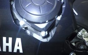 YAMAHA YZF-R25 2017 RG43J