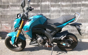 KAWASAKI Z125 PRO BR125H
