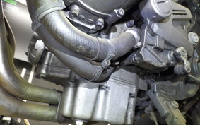 SUZUKI BANDIT 250 Gen.2 2022 GJ77A