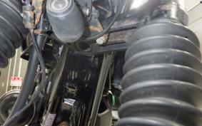 KAWASAKI W800 STREET 2022 EJ800E