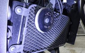 SUZUKI V-STROM 250 2007
