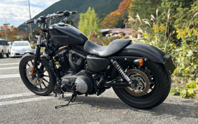 HARLEY HARLEY XL883N 2009 LE2