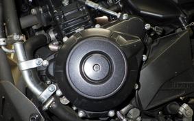 SUZUKI V-STROM 250 2009