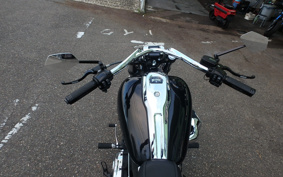 HARLEY FXBR 2023 YEZ