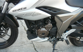 SUZUKI JIKUSA-250 ED22B