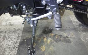 KAWASAKI Z900RS 2024 ZR900K