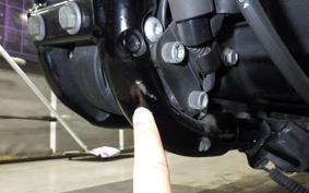 HARLEY XL883N 2021