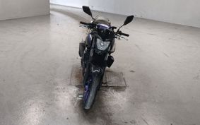 YAMAHA MT-25 RG43J