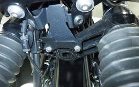 KAWASAKI W800 CAFE 2021 EJ800B