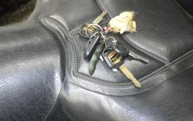 HONDA GL 1800 GOLD WING SIDECAR 2003 SC47