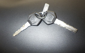 YAMAHA MT-25 A 2020 RG43J