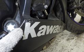 KAWASAKI NINJA 1000 2014