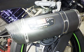 KAWASAKI NINJA 250 EX250L