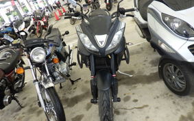 TRIUMPH TIGER1050(ショルイ