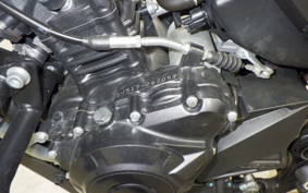 SUZUKI Vｽﾄﾛｰﾑ250A 2015