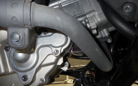 YAMAHA X-MAX 250 2025 SGA8J