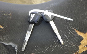 KAWASAKI NINJA 400 2019 EX400G