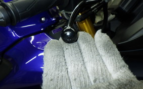 YAMAHA YZF-R15 2006 RG86J