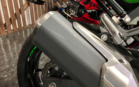 KAWASAKI NINJA 250 KRT ED EX250P