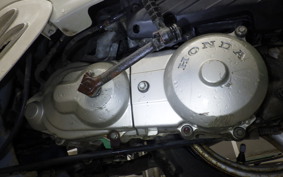 HONDA GIORNO 2013 AF24