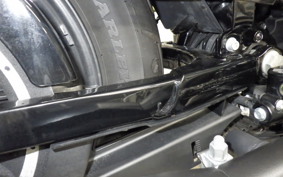 HARLEY XL883N 2021