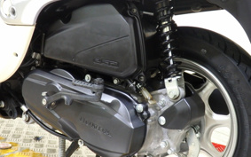 HONDA GIORNO AF77