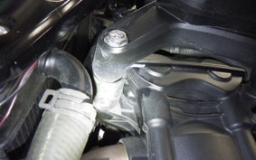 TRIUMPH TRIDENT 660 2021