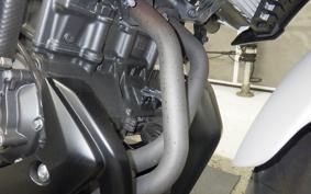 YAMAHA MT-25 A 2010 RG95J