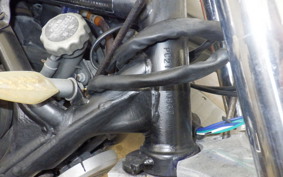 HONDA STEED 600 1989 PC21