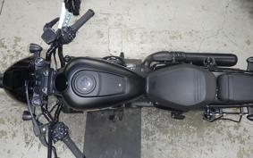 HARLEY RH975S 2024