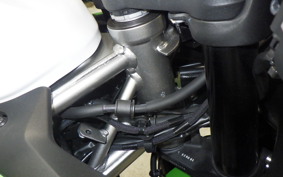 KAWASAKI ZX-4RR 2024 ZX400P
