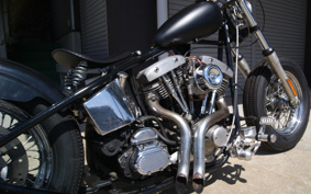HARLEY Kit Bike 2023 672