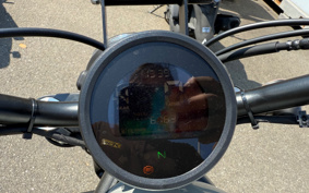 HONDA  REBEL 250 ABS MC49