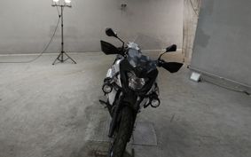 KAWASAKI VERSYS-X 250 LE250D