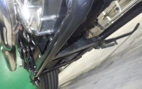 OTHER THUNDER 250