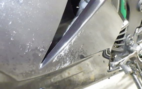 KAWASAKI NINJA 250R 2009 EX250K