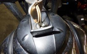 YAMAHA TRICKER DG10J