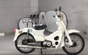 HONDA SUPER CUB50 C50