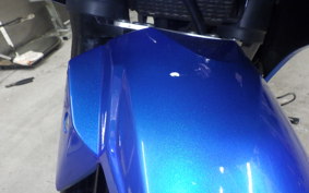 SUZUKI GSX250 R 2025