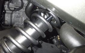 OTHER CAN-AM SPIDER RT LIMITED 2021