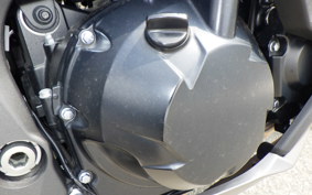 KAWASAKI NINJA 1000SX 2024 ZXT02K