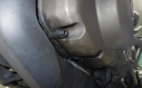 DUCATI MONSTER 821 2016