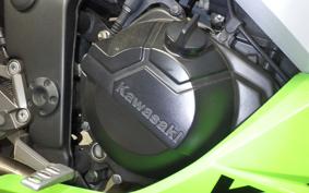 KAWASAKI NINJA 250 EX250L