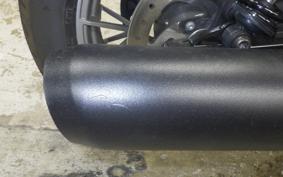 HARLEY RH975S 2024